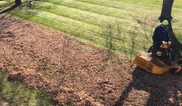 Fall and Spring Cleanup by Advance Lawn Service Company, Hartford WI