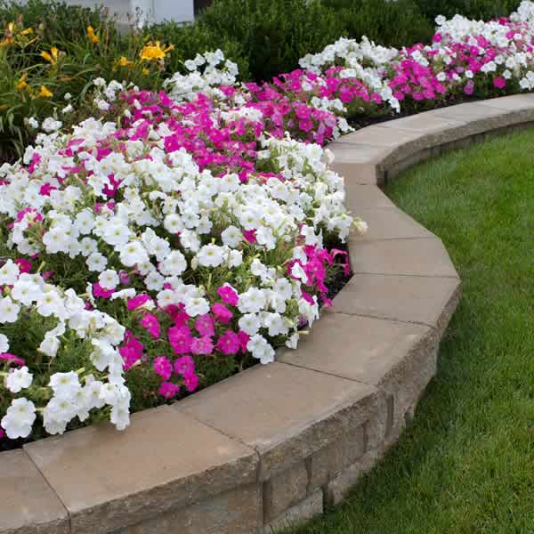 Landscaping - Advance Lawn Service Company