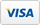 Visa credit card icon