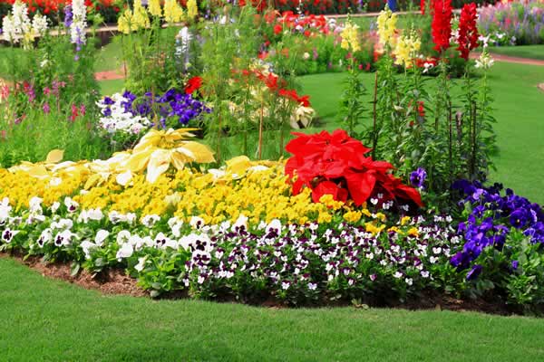 Landscape Design - Flower Beds Services from Advance Lawn Service Company - Hartford WI