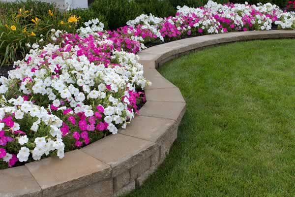 Landscaping Services - Advance Lawn Service Company