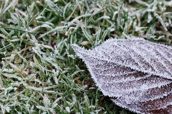 Spring Cleanup by Advance Lawn Services in Hartford WI