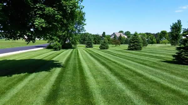 beautiful lawn - Advance Lawn Care Services