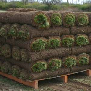 Sod Rolls