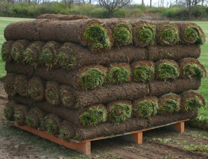 Sod Rolls