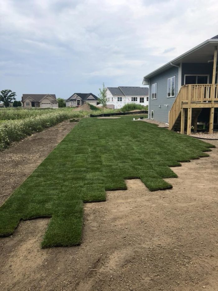 Sod installation