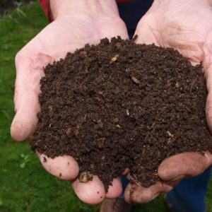 Compost being held